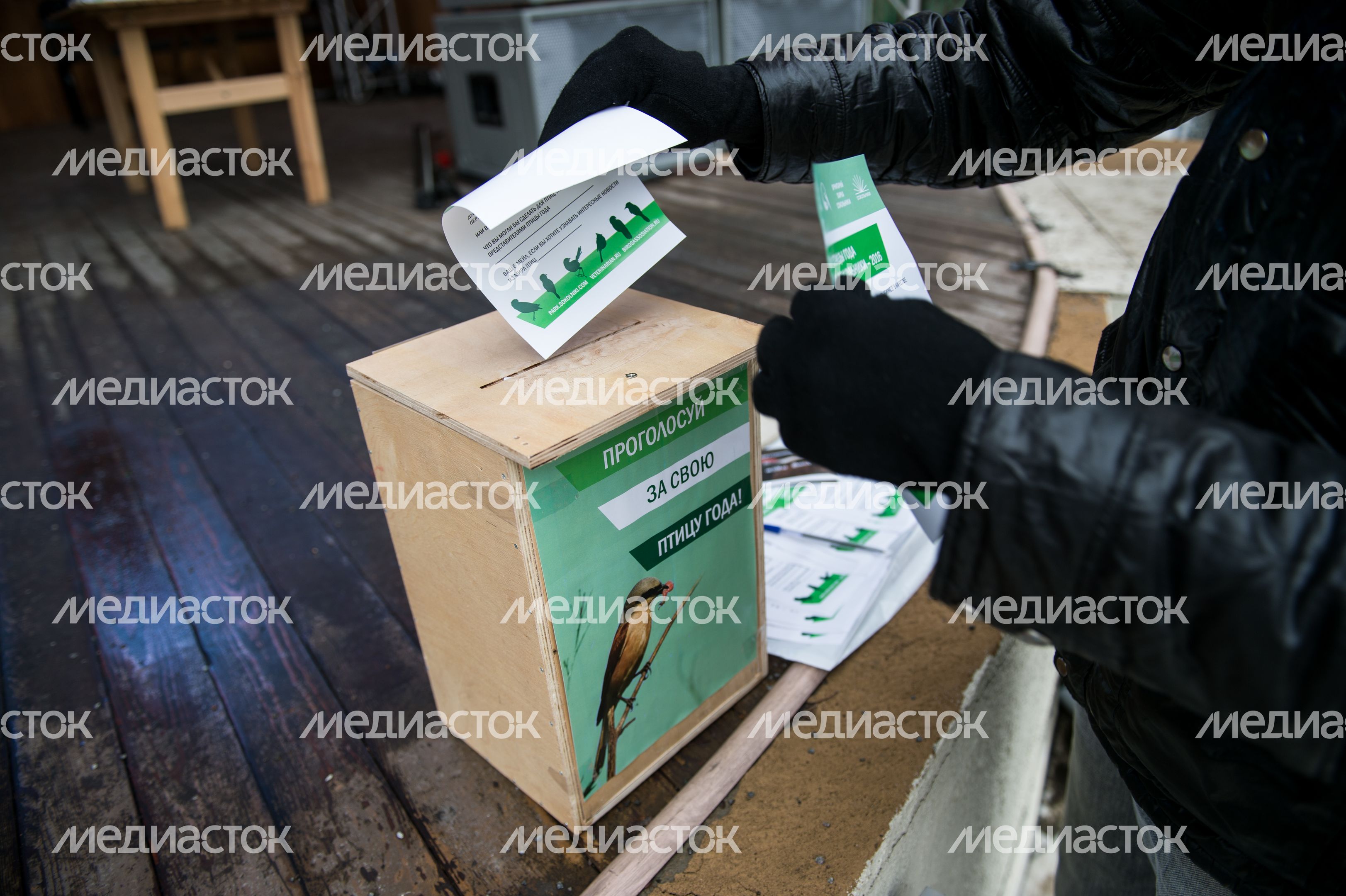 Выбор птицы года в парке Сокольники в Москве Выбор птицы года в парке Сокольники в Москве