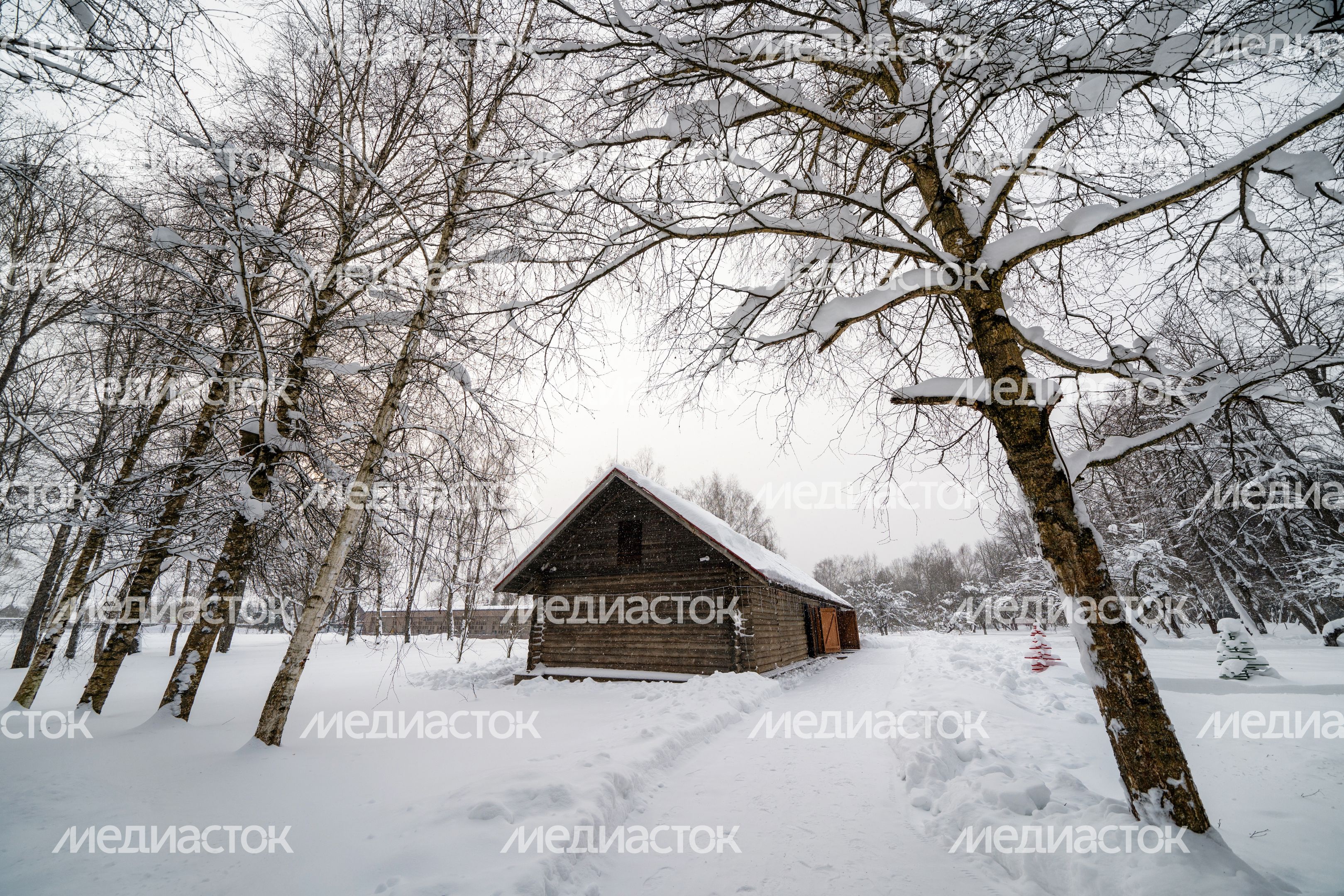 Зимний пейзаж в музее-заповеднике А.П. Чехова «Мелихово» округа Чехов Зимний пейзаж в музее-заповеднике А.П. Чехова «Мелихово» округа Чехов