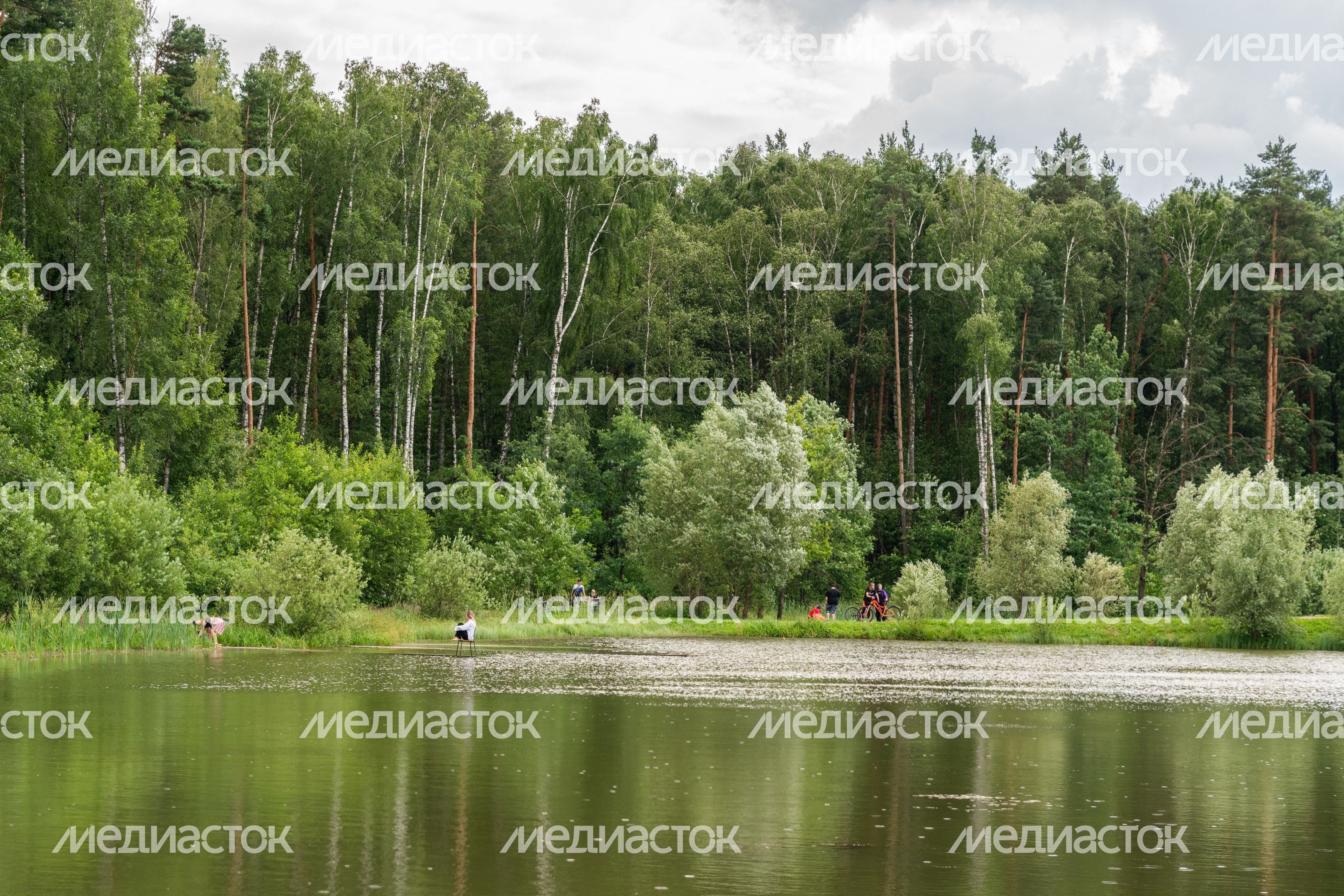 Мещерский парк летом