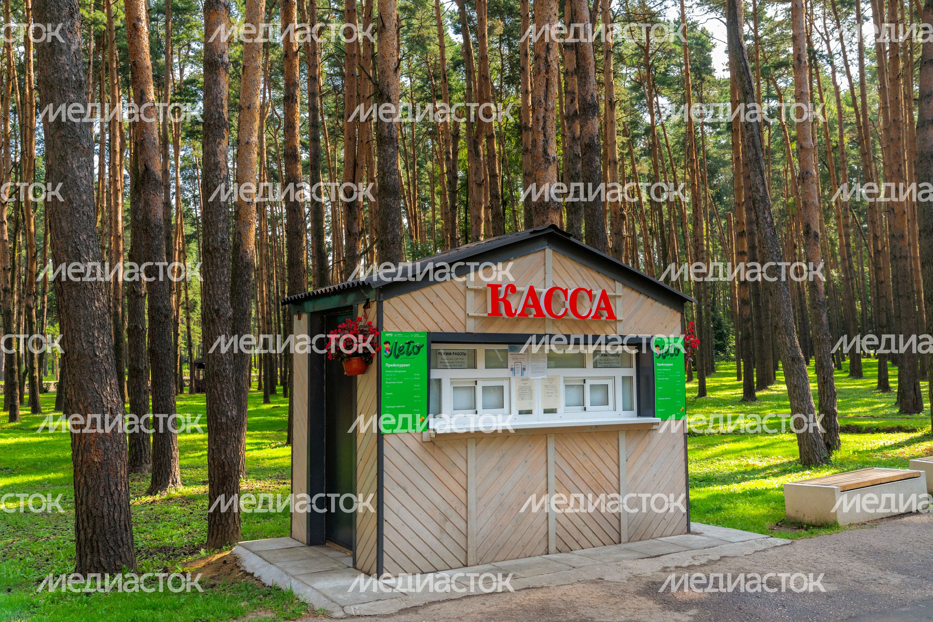 Касса аттракционов в парке культуры и отдыха «Елочки» в Домодедово
