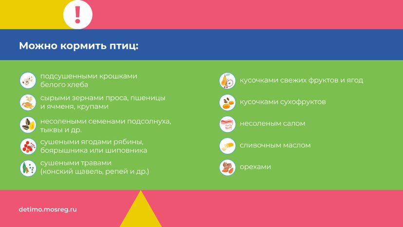 синичкин_день_горизонталь_04.jpg