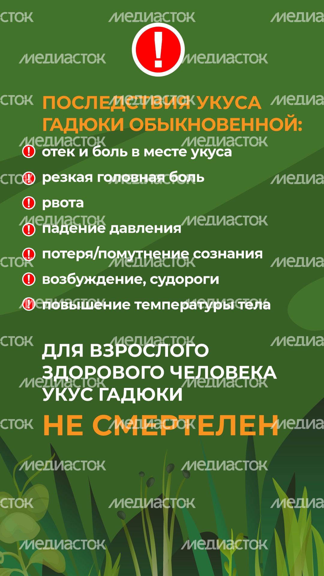 комлесхоз_змеи_верт_8