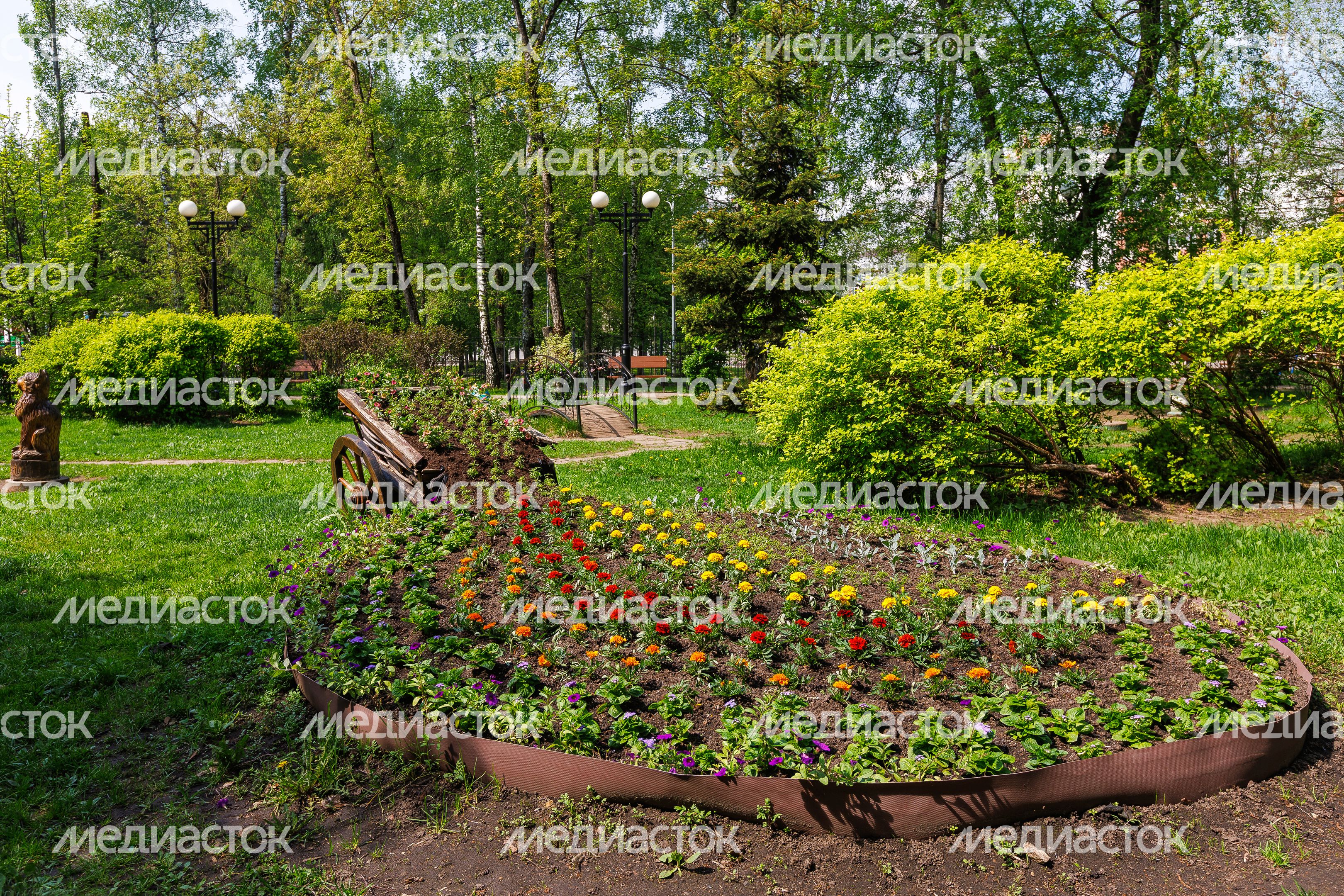 Центральный парк культуры и отдыха Лыткарино. Весна Центральный парк культуры и отдыха Лыткарино. Весна