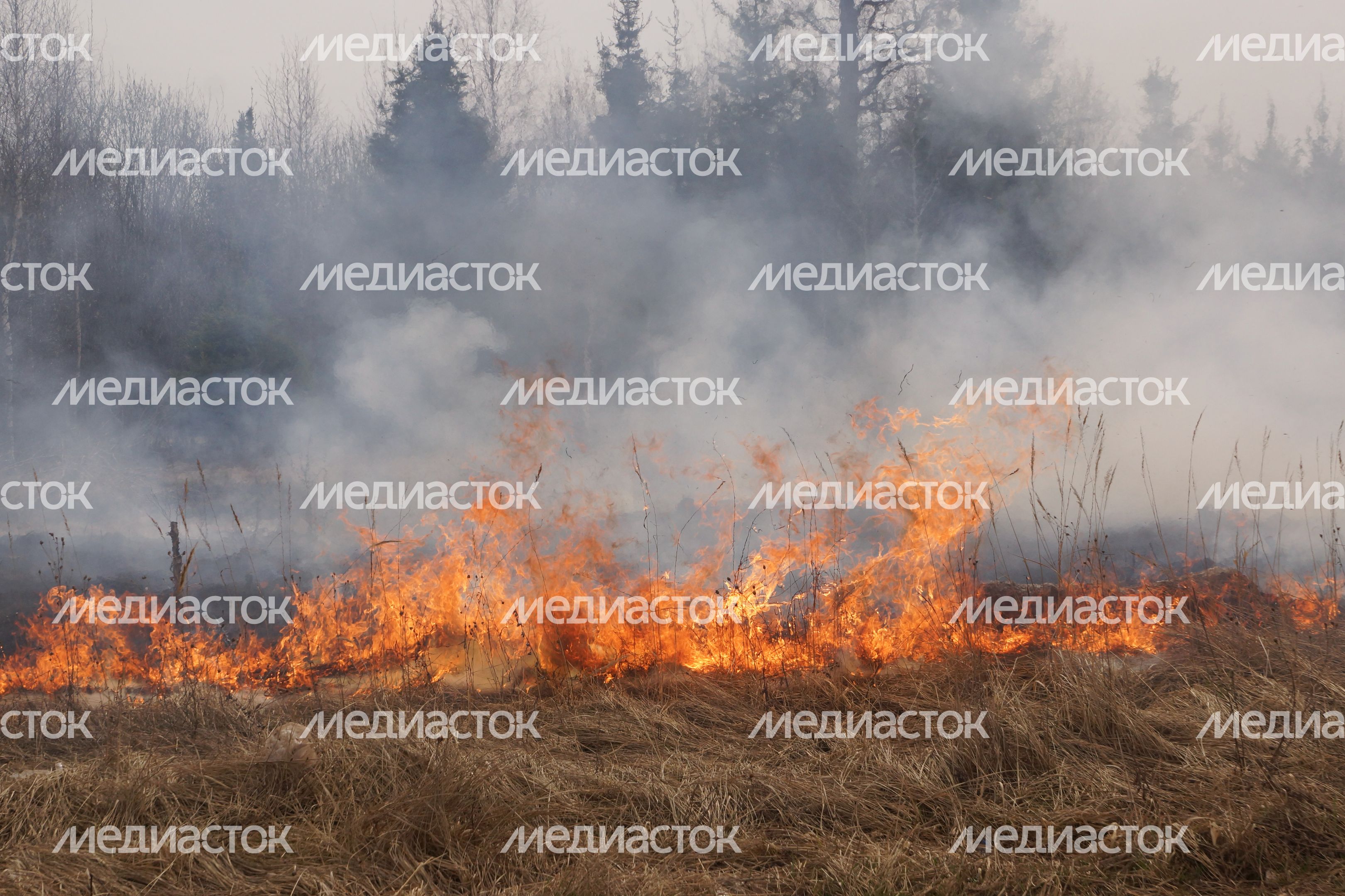 Пожарно-тактические межведомственные учения в Подольске
