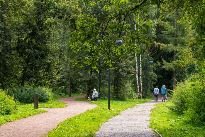Лобненский лесопарк летом 2026 года