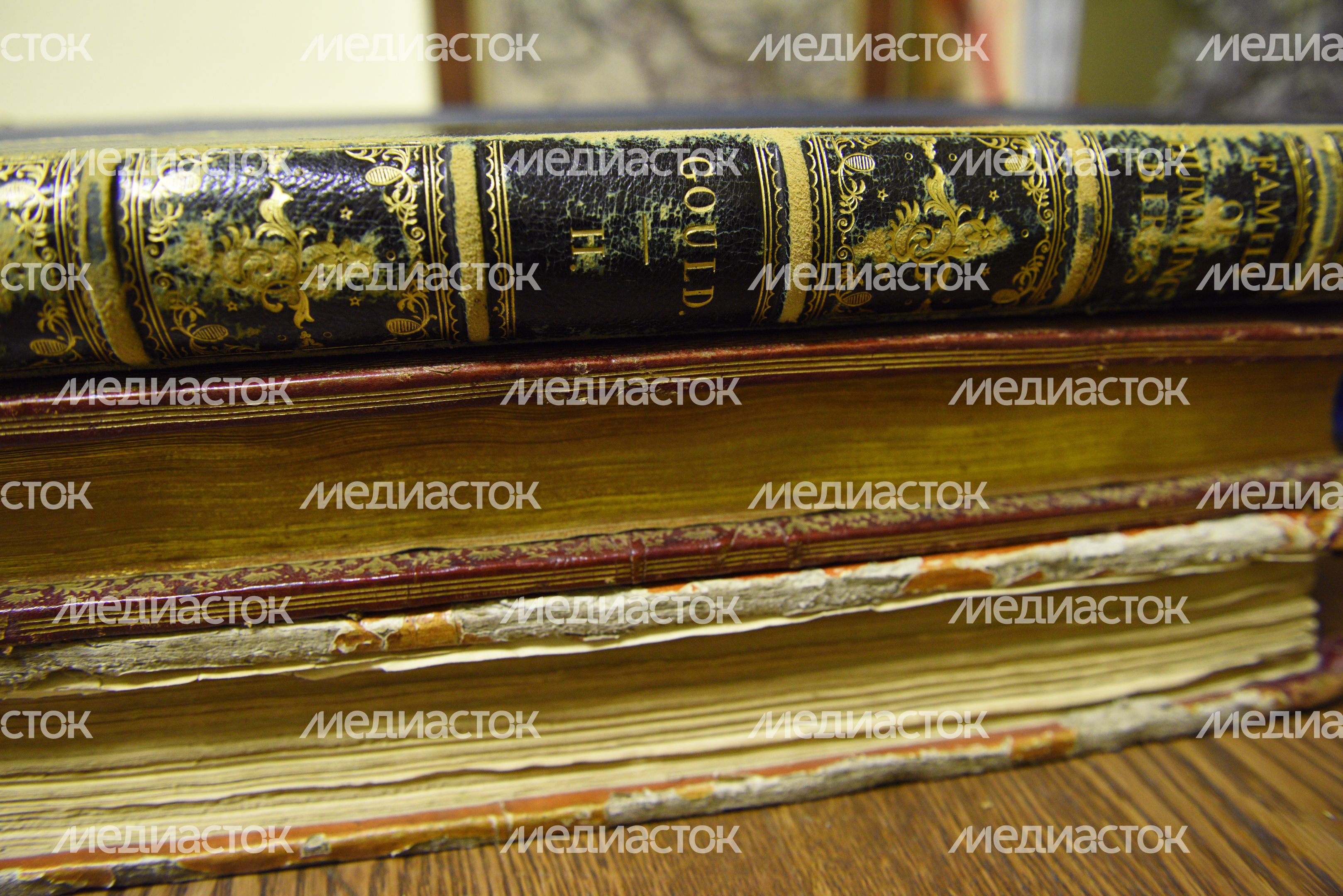 Государственный Дарвиновский музей