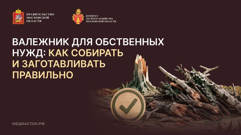 Валежник для собственных нужд горизонталь 01
