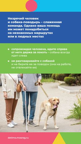 белая трость_вертикаль_10.png