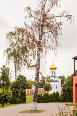 Дзержинский. Николо-Угрешский Монастырь