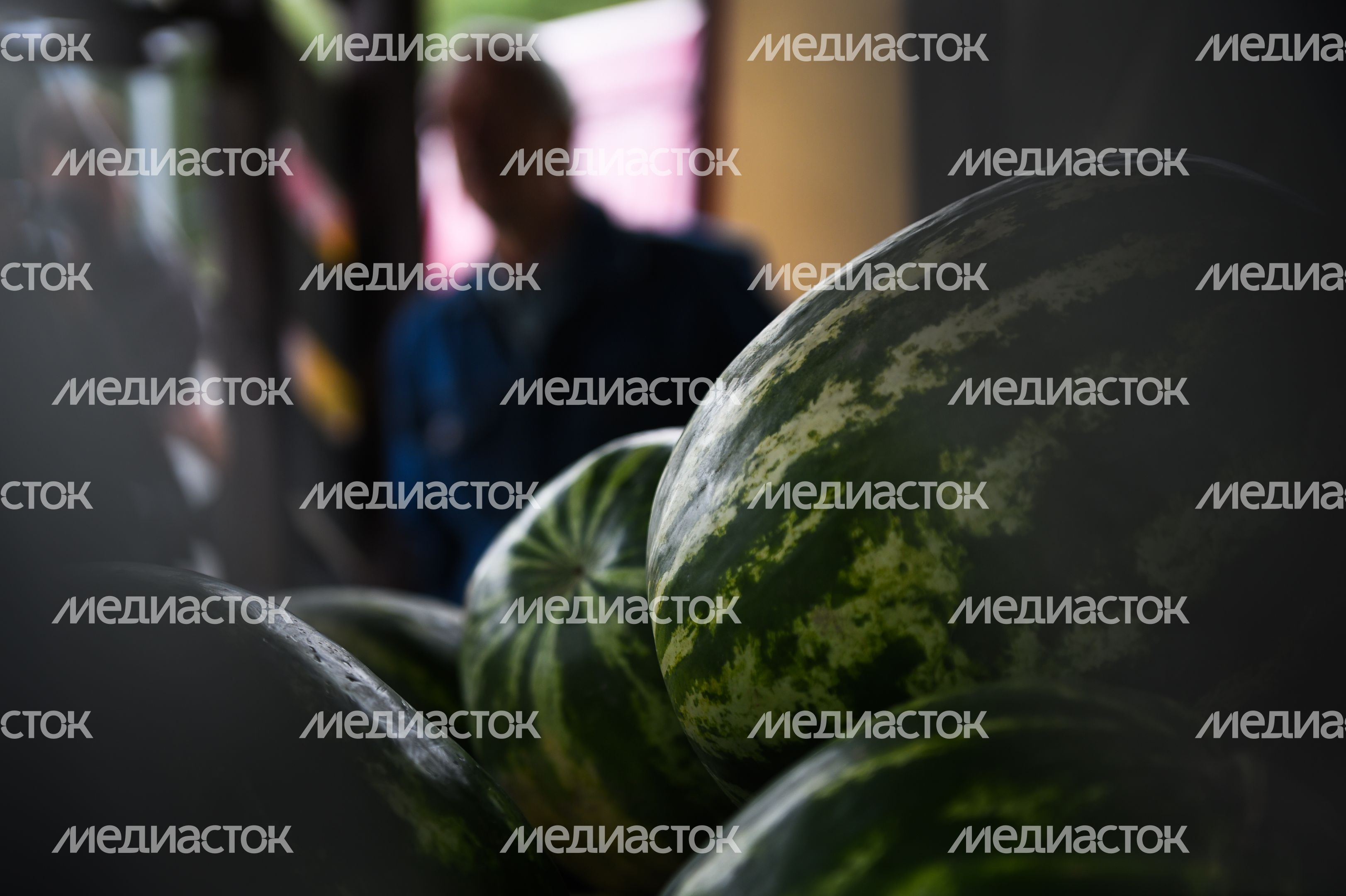 Открытие сезона бахчевых 2019 в Москве