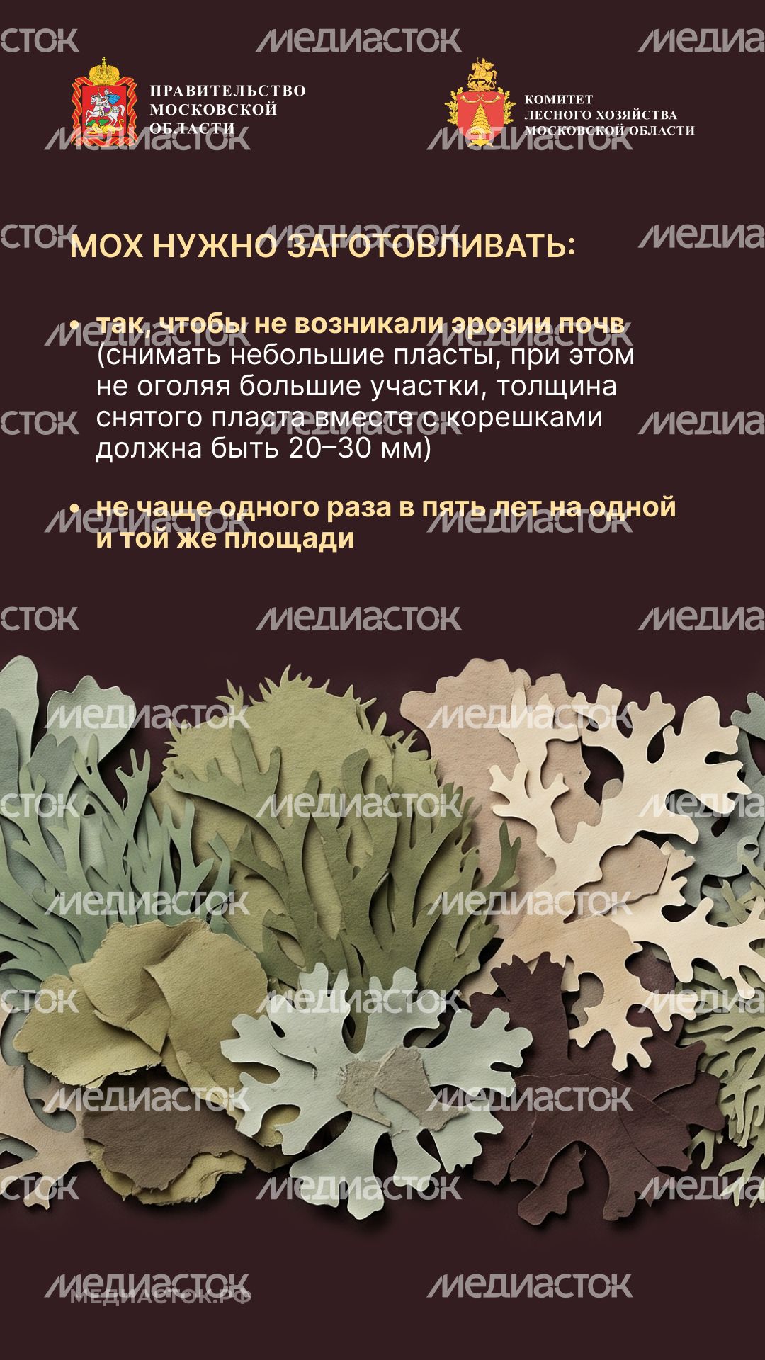 Недревесные ресурсы для собственных нужд Вертикаль 09