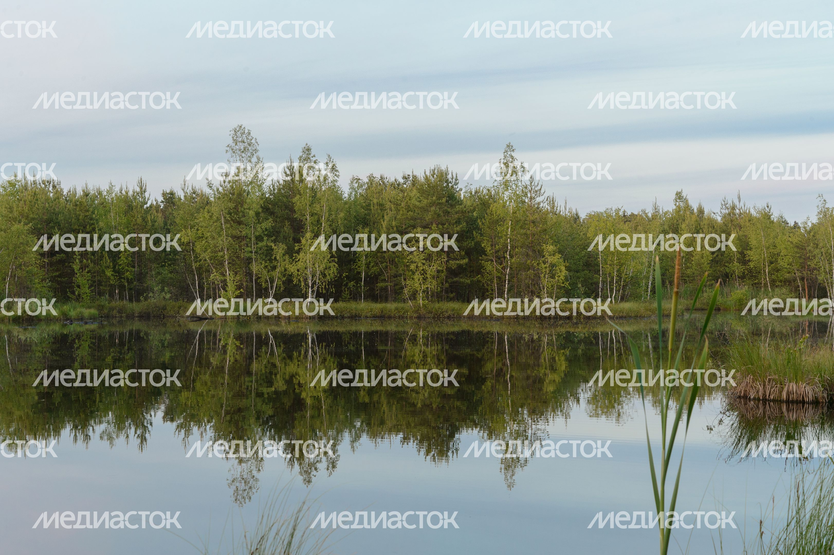 Озеро Безменковский Карьер