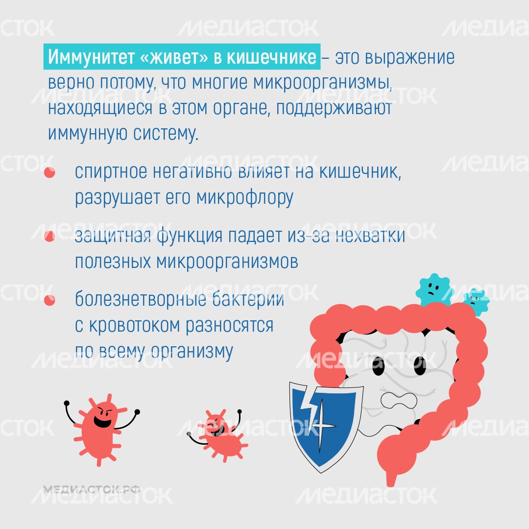 Алкоголь против иммунитета квадрат 05 Алкоголь против иммунитета квадрат 05