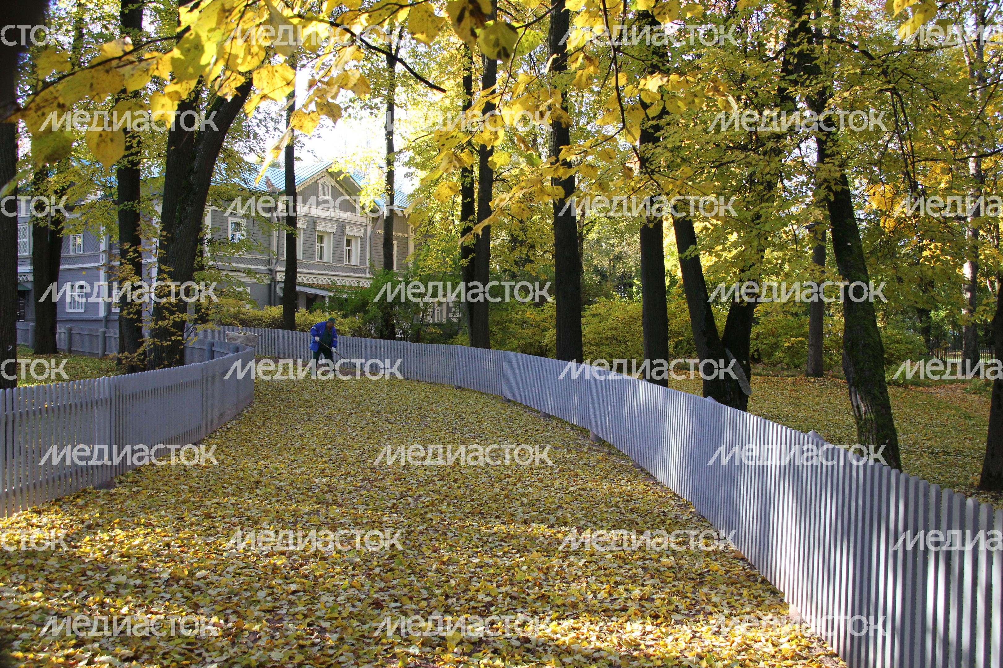 Осень в Подмосковье
