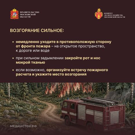 Живете рядом с лесом квадрат 10