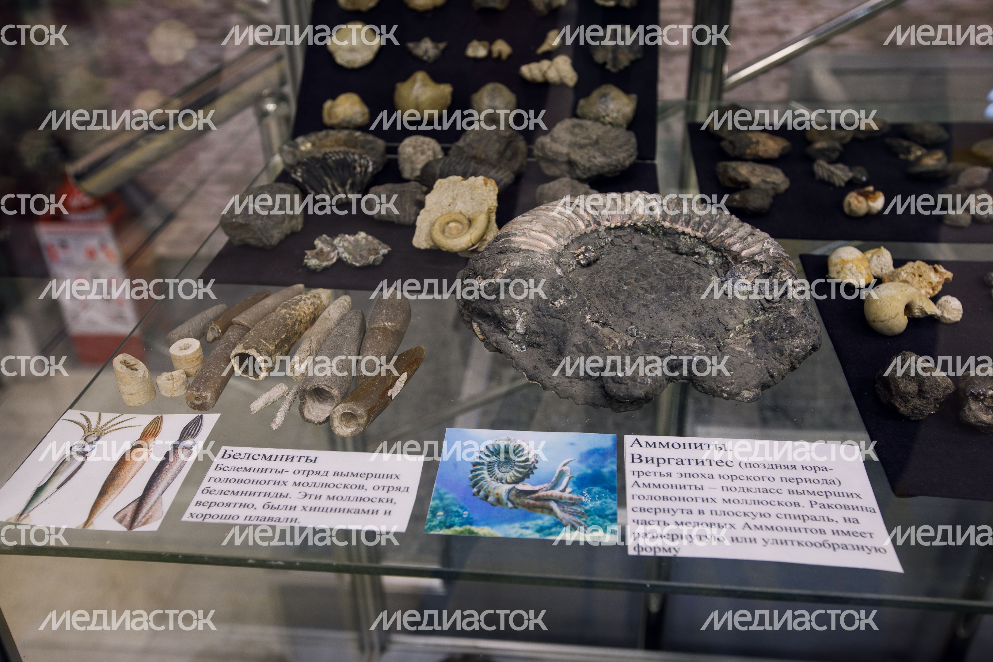Историко-художественный музей в Домодедово Историко-художественный музей в Домодедово