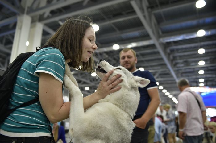 Всемирная выставка собак World Dog Show 2016 в МВЦ «Крокус Экспо»