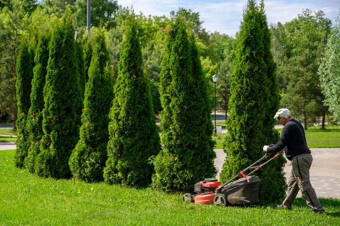 Благоустройство Никольского парка в Лосино-Петровском