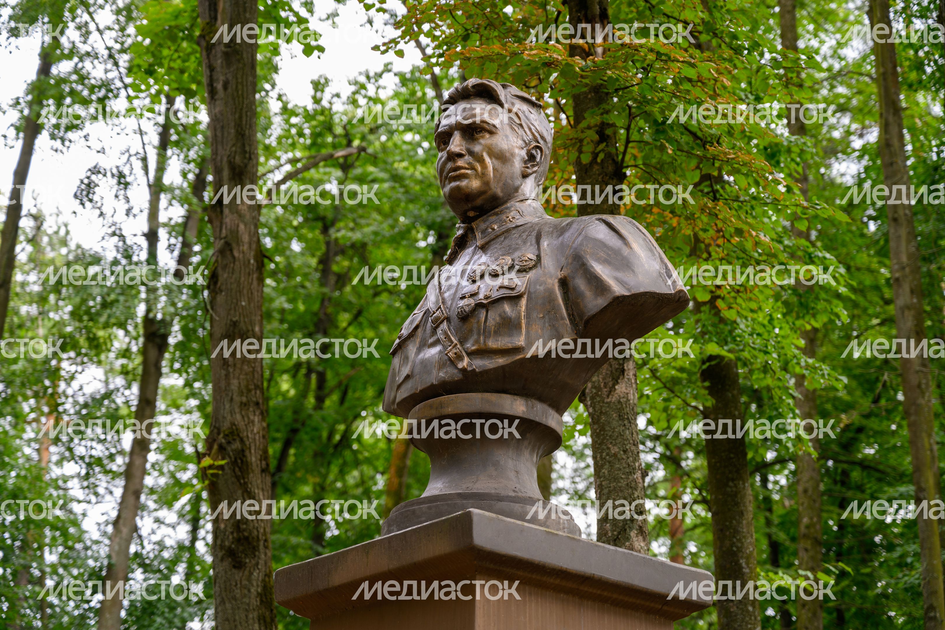 Аллея Героев Отечества в Щелково Аллея Героев Отечества в Щелково