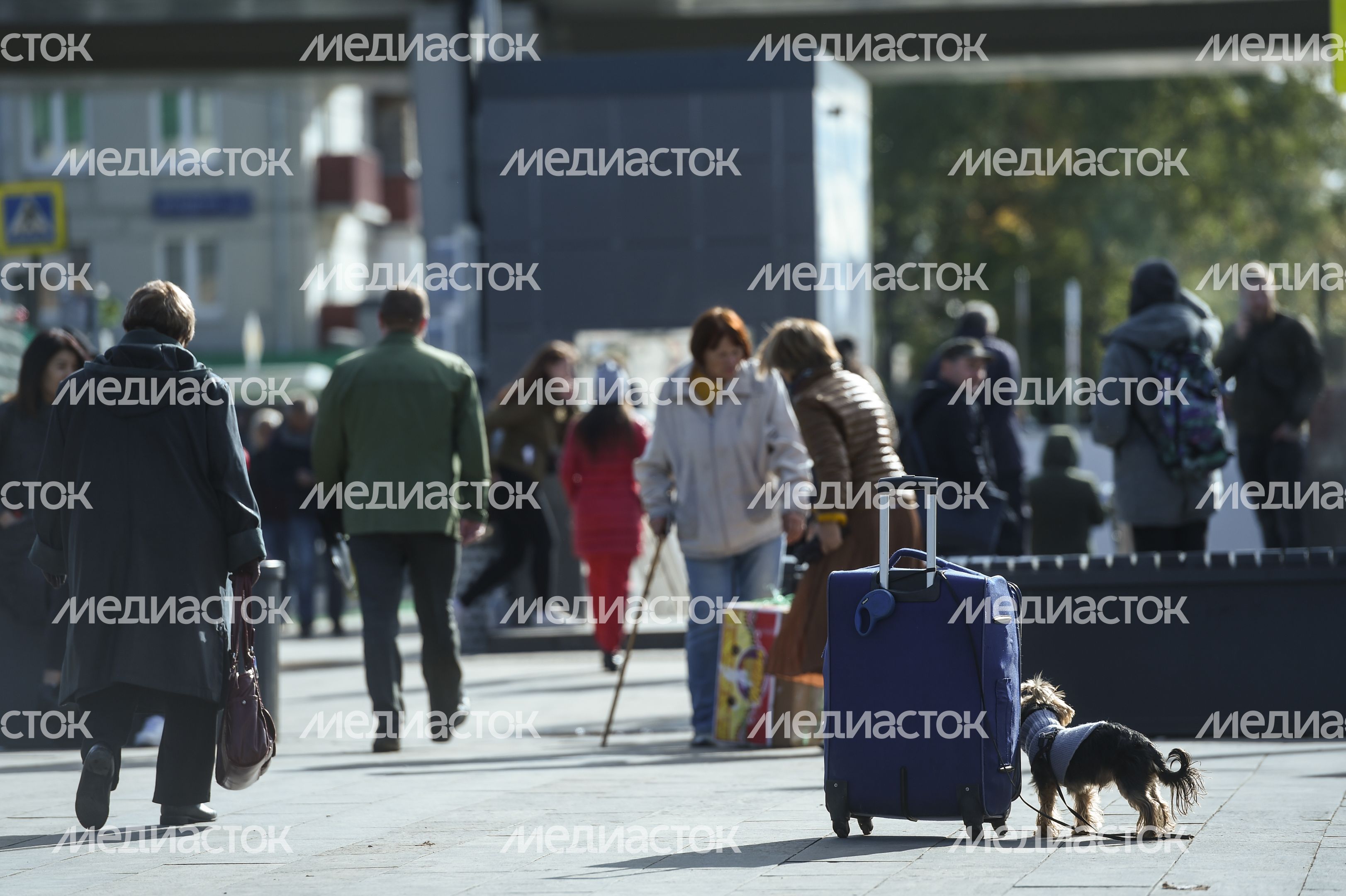 Пенсионеры на улицах Москвы