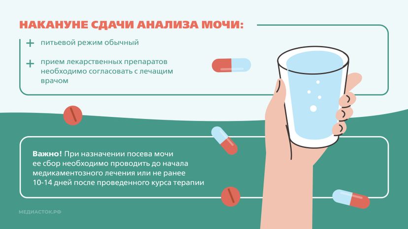Подготовка к исследованию мочи Горизонталь 04