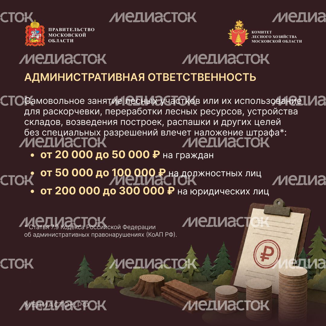 Самовольный захват и использование лесных участков квадрат 04