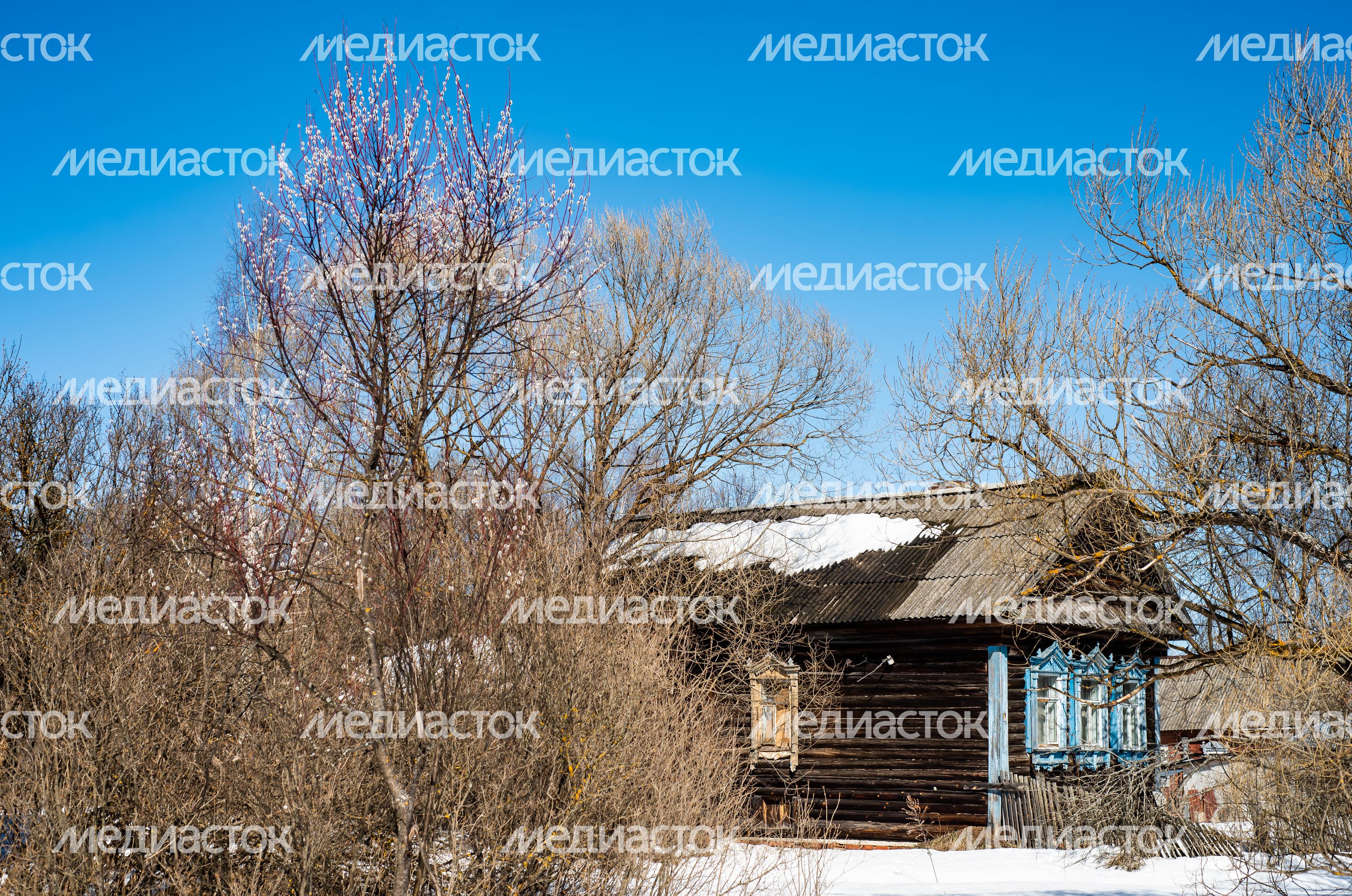 Заброшенное село Шатур Заброшенное село Шатур
