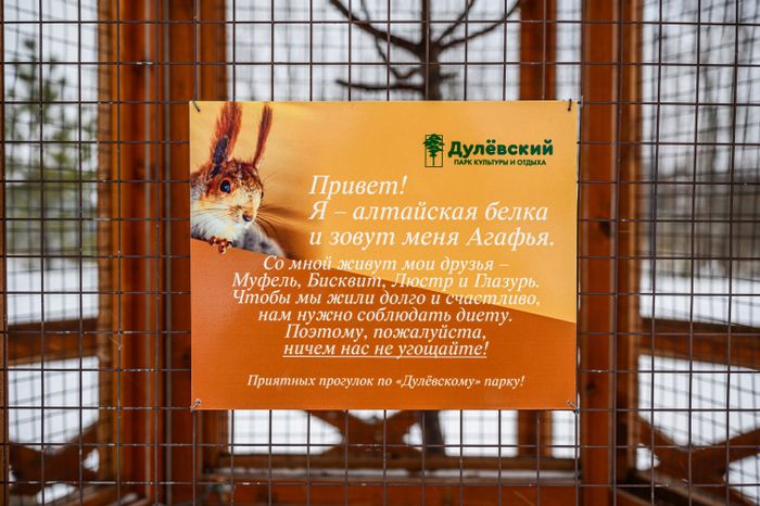 Парк культуры и отдыха "Дулёвский" в Орехово-зуевском городском округе
