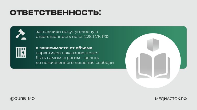 Что делать, если вы заметили закладчика горизонталь 06
