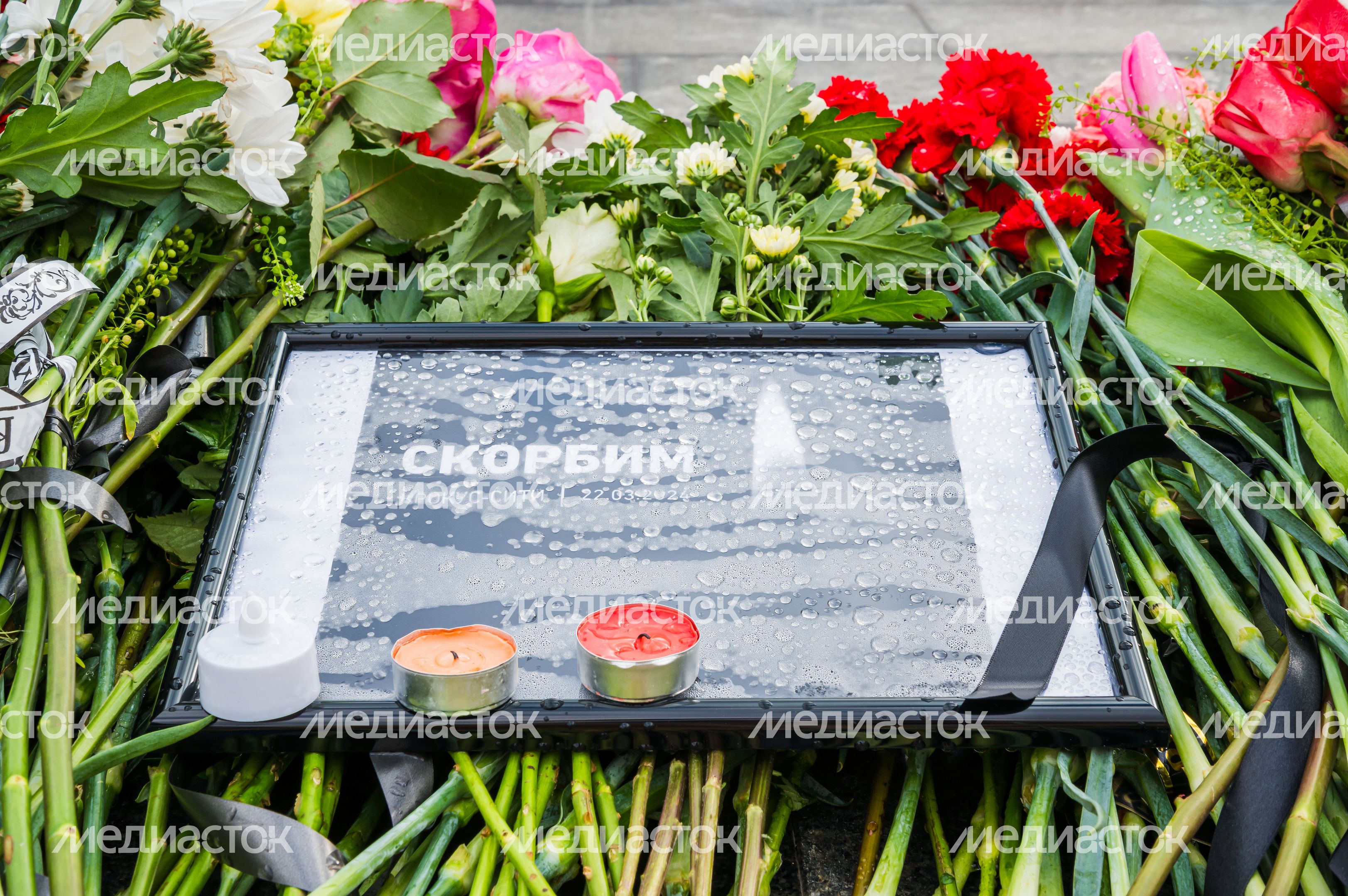 Мемориал памяти погибших в "Крокус Сити Холле" в Балашихе