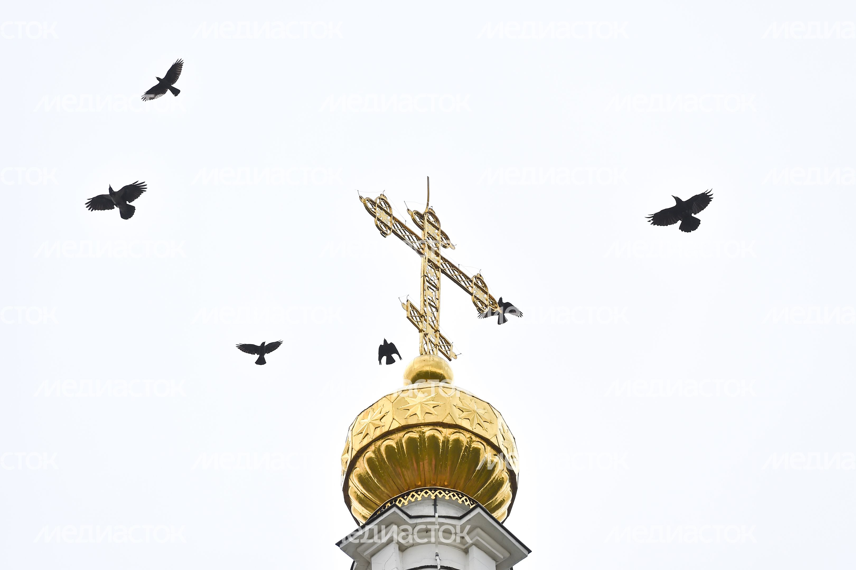 Достопримечательности города Серпухов