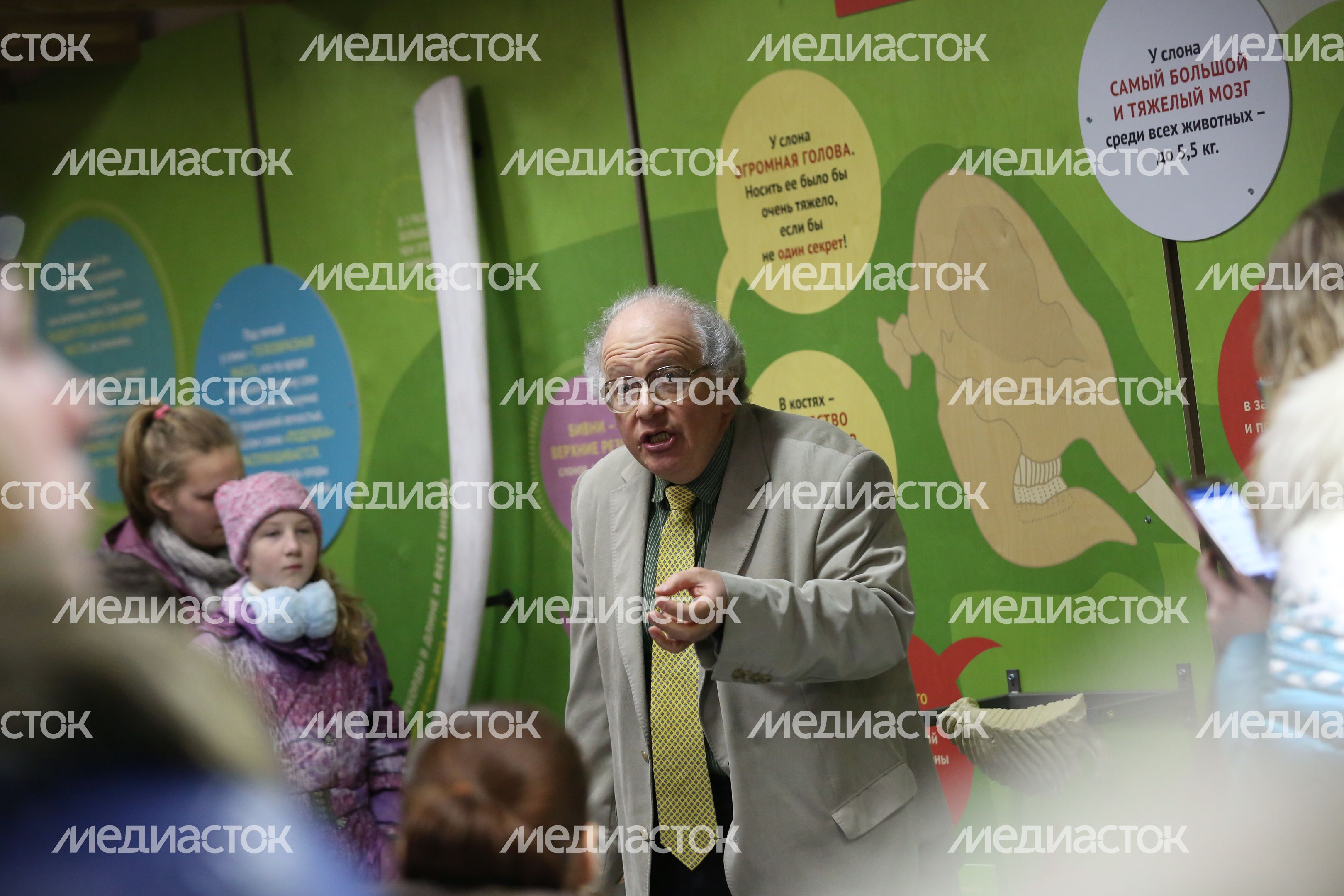 Музей слонов в Московском зоопарке