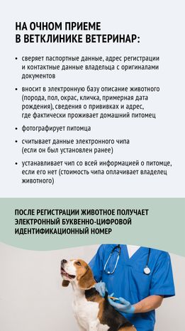 Зарегистрировать домашнее животное ред 2-вертикаль-07.png
