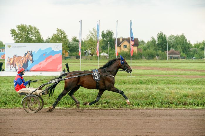 Праздник рысистого коннозаводства на Раменском ипподроме