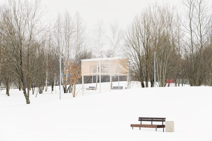 Бронницы. Парк «Бронницкий луг». Зима