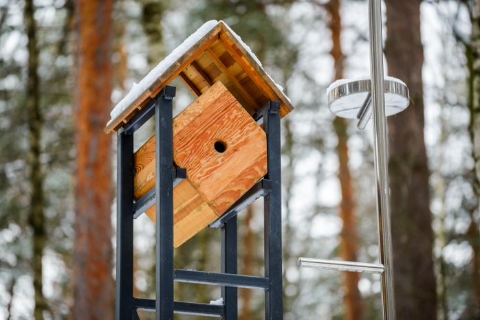 Лесопарк «Лесная опушка» в поселке Октябрьский округа Люберцы