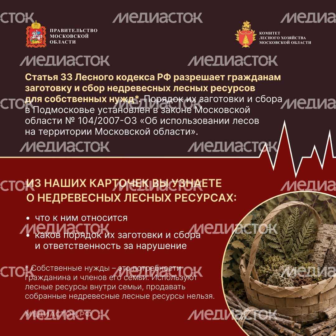 Недревесные ресурсы для собственных нужд Квадрат 02