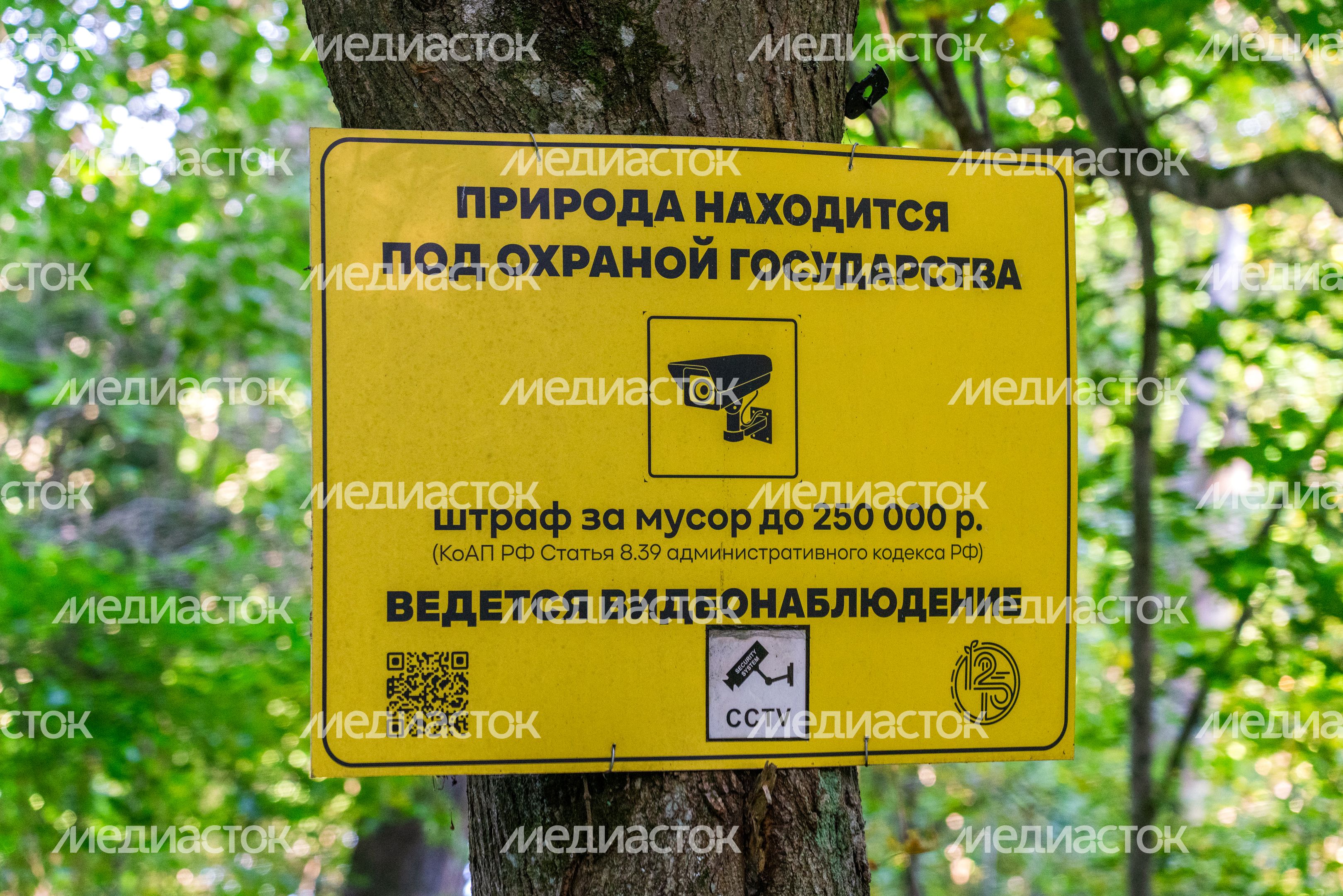 Волонтеры Центра чистой природы очистили от мусора берег Москвы-реки в Тучково Рузского округа Волонтеры Центра чистой природы очистили от мусора берег Москвы-реки в Тучково Рузского округа