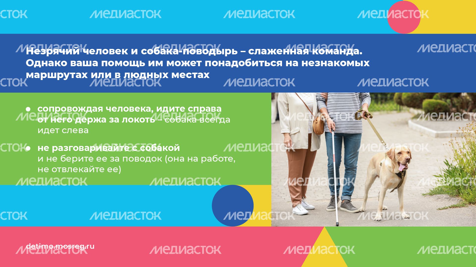 белая трость горизонталь 10.png