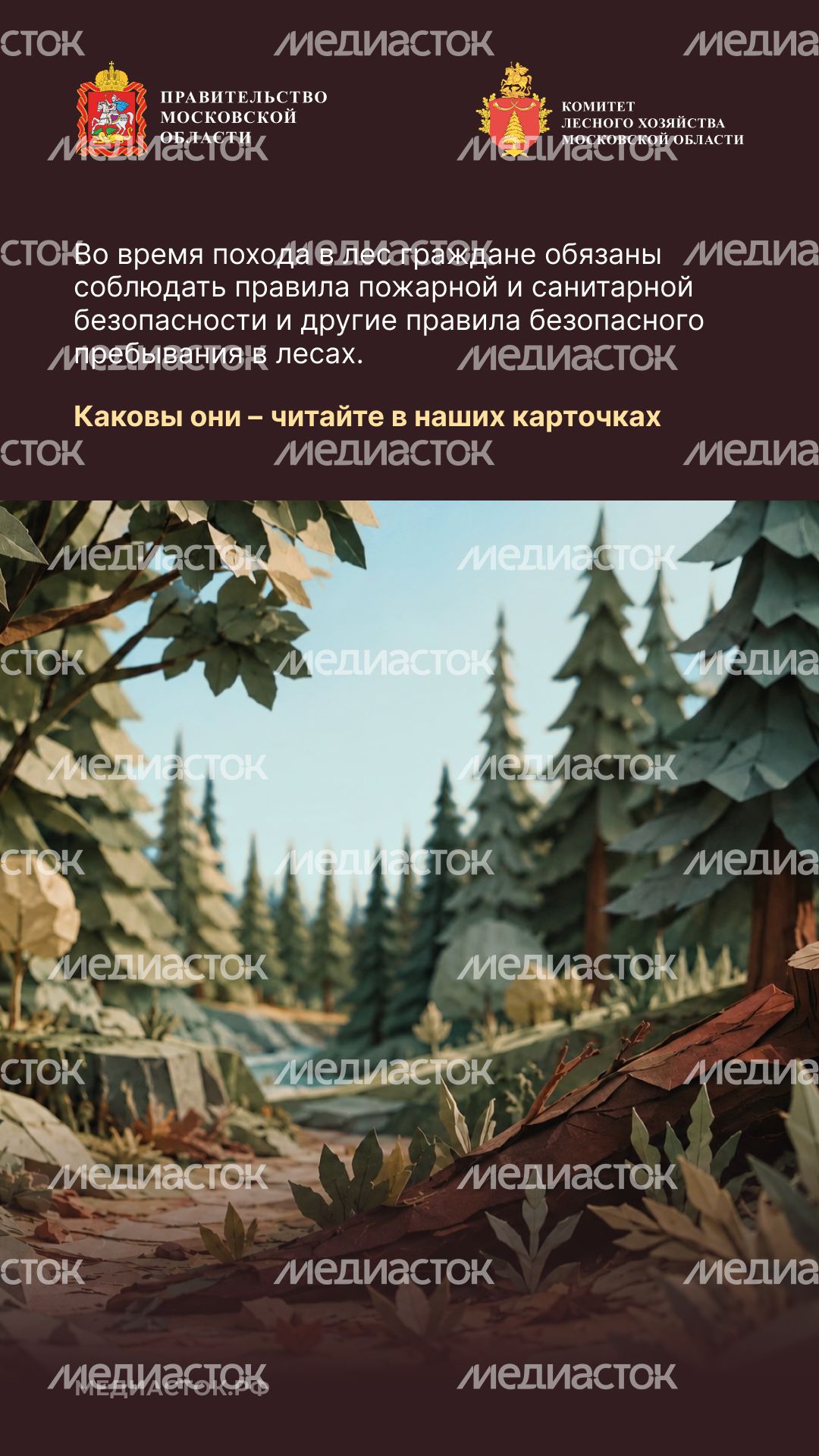 Пребывание граждан в лесах Вертикаль 02