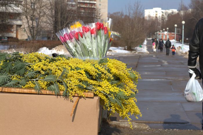 Торговля цветами в Протвино