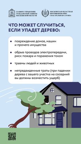 Аварийные деревья_Вертикаль-02.jpg