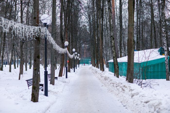 Красногорский городской парк зимой