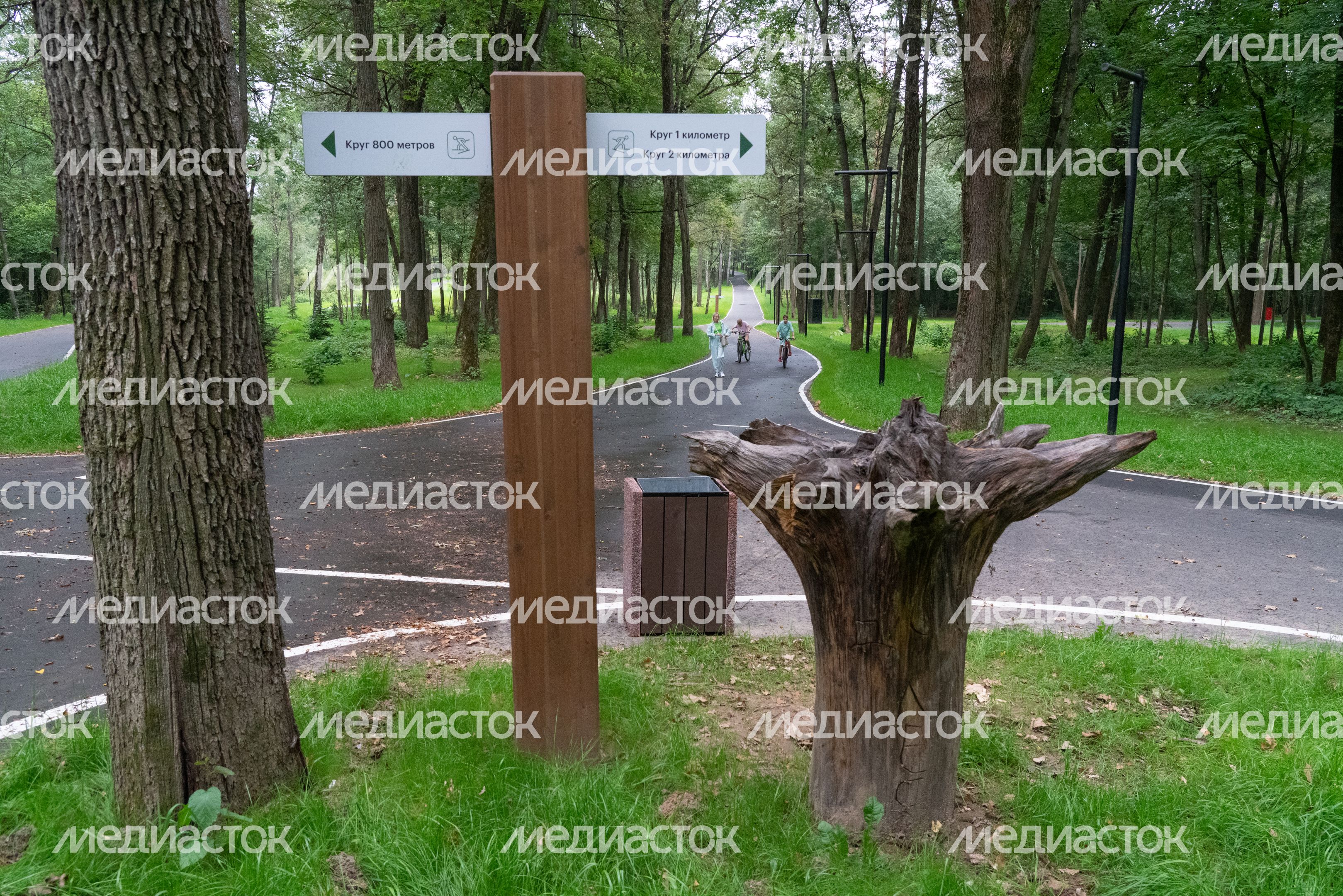 Подольск. Парк «Дубровицкий лес» Подольск. Парк «Дубровицкий лес»