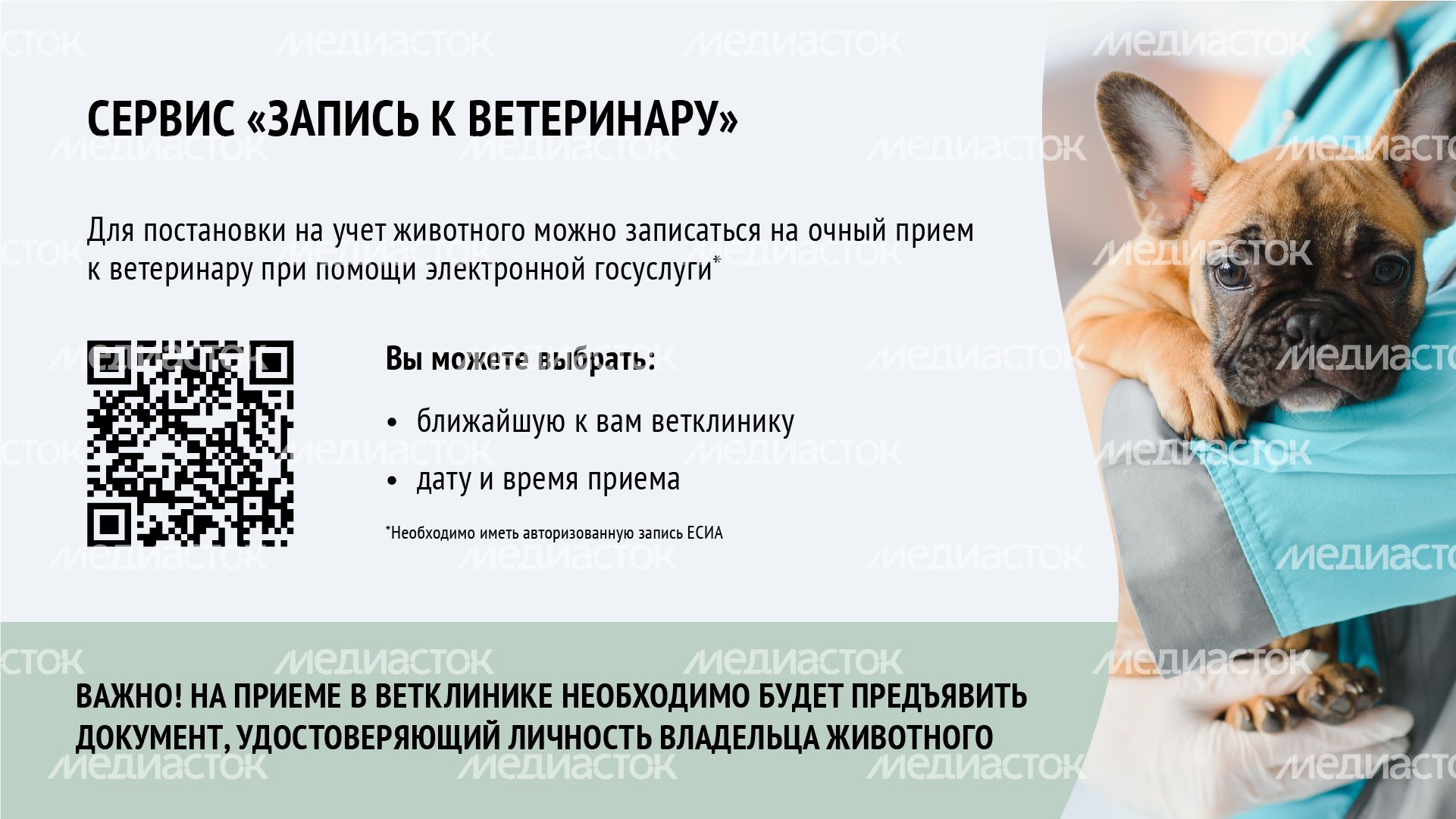 Горизонталь_ зарегистрировать домашнее животное_06-100.jpg