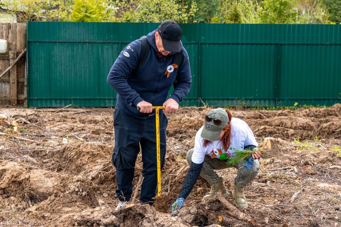 Деревья высадили в Рузском округе в рамках акции «Сад Памяти» ко Дню Победы