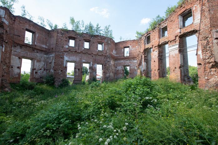 Усадьба Мещерских Алабино (Петровское)