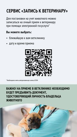 Вертикаль_ зарегистрировать домашнее животное_06-100.jpg