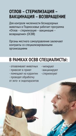 Безнадзорные животные