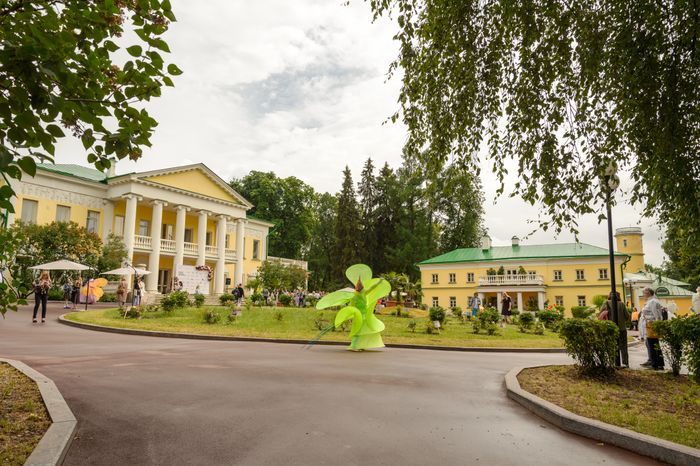 Пальмы и Розы Зинаиды Морозовой